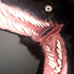 eddie