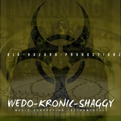 BIO HAZARD PRODUCTIONZ