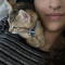 miaa