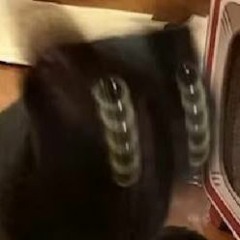 SHN