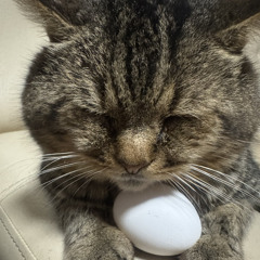 оксаночка🎈