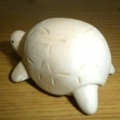 ちいさな家 S Stream