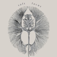 Soft Focus