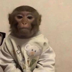 TaillessMonkey