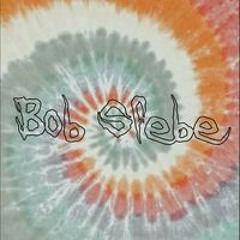 Bob Sfebe