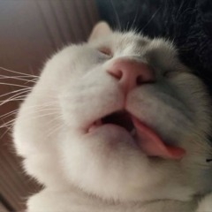 ︎