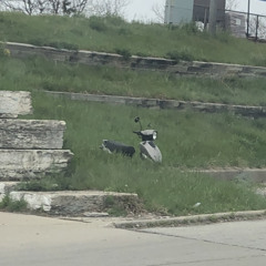 HEY NOW WHO REALLY CARES (Linda Perhacs cover)