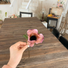 🌷