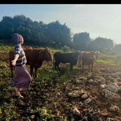 לי אור הודיה 🌙