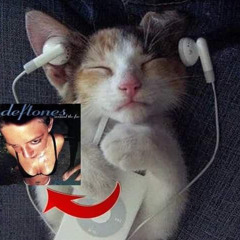 olivkaaaaaa
