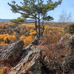 Александр Гаптарь