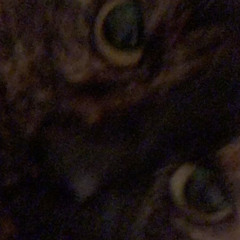 Taylor