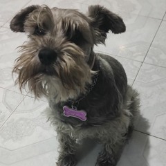 David Reynoso Aguilar