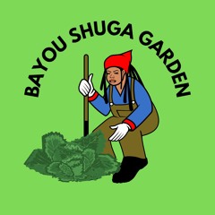 DJ Bayou Shuga