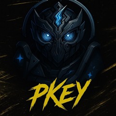 ᛈᚲᛖᛁ(PKEY)