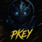 ᛈᚲᛖᛁ(PKEY)