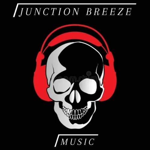 Junction Breeze’s avatar