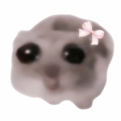 𖧷₊˚˖𓍢ִ🍓✧˚.🎀༘⋆ﾟ＊