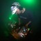 DJ Land Reform