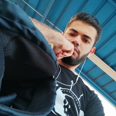 محمد محمود