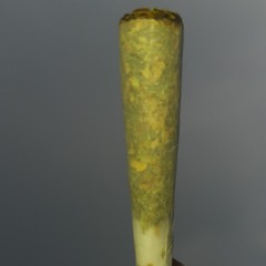 👽NeVeR 👽MiNd 👽