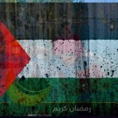 محمد سيد درويش