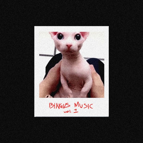 bingus collective’s avatar
