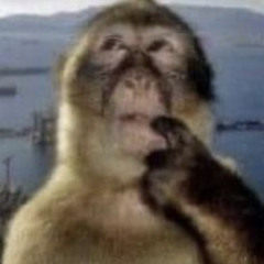 funky monkey