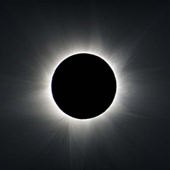 Copenhagen Krautwave