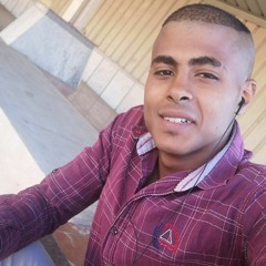 مصطفى مهداوى
