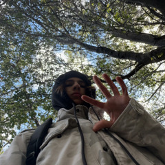 WZRD WRLD