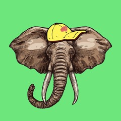Memória de Elefante - Podcast