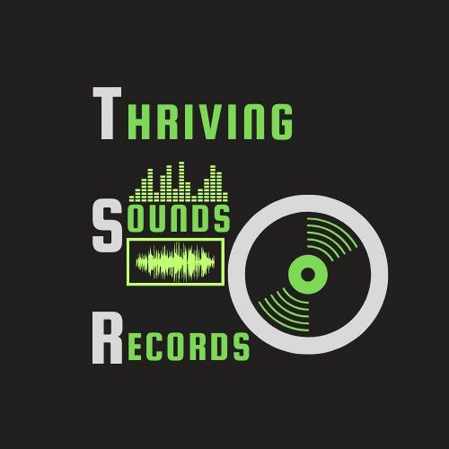 Thriving Sounds Artist Support’s avatar