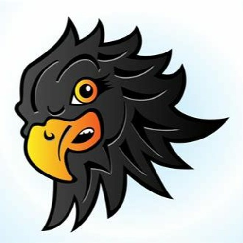 BIG Hawk’s avatar