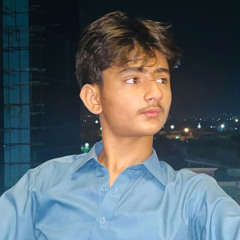 Hassnain Raja
