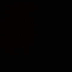 Erik Richter Åkerlund