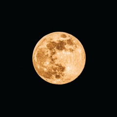 < I N S 🌕 M N I A />