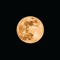 < I N S 🌕 M N I A />