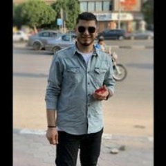 Mohamed Ashraf Lawyer