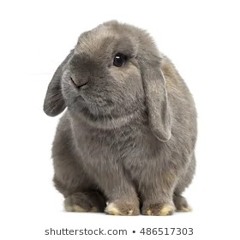 Onslo