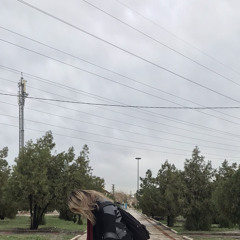 Sahar Rz