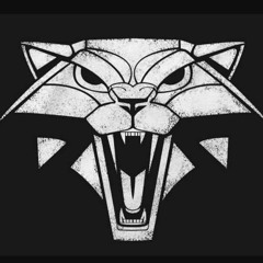 School of the Cat