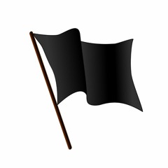 BLACK FLAG RADIO