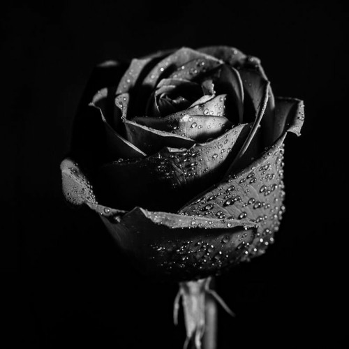 Stream Glass Castle music Listen to songs, albums, playlists for free