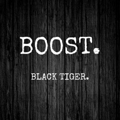 BOOST_BLACKTIGER