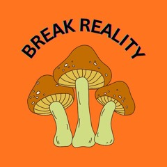 Break Reality