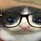 bobo da corte