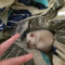 masya