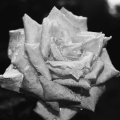 𝔅𝔩𝔞𝔰𝔦𝔪