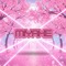 MIYAKE (미야케)